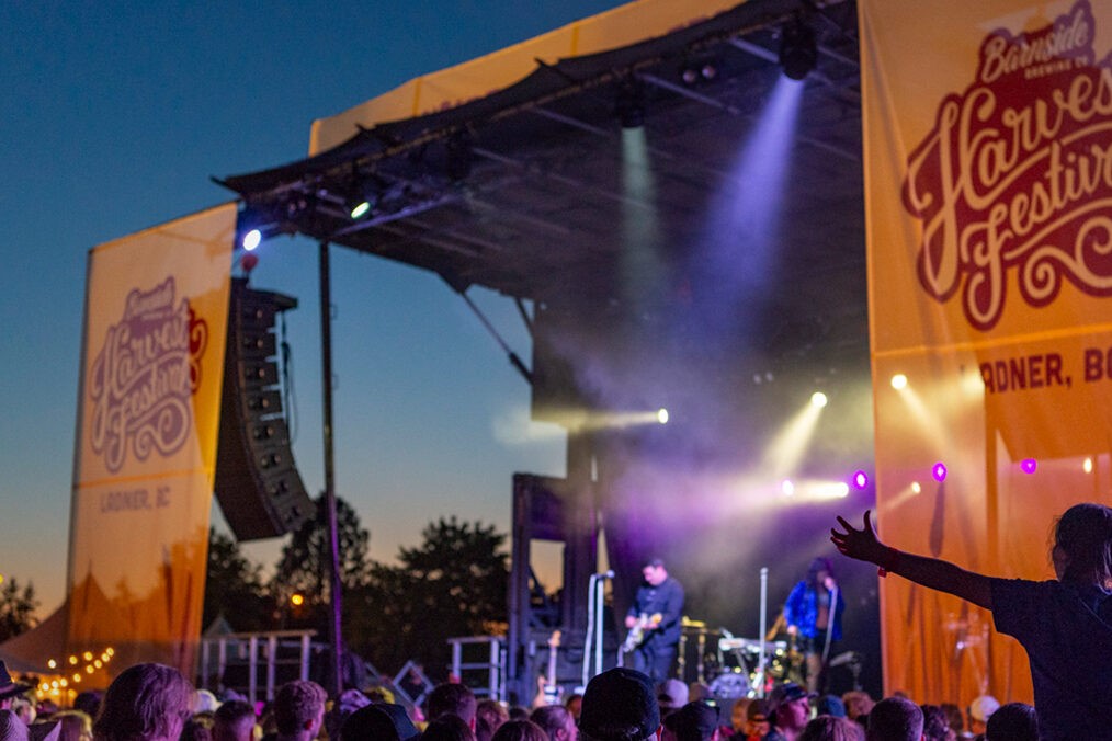 A lively concert scene at the Harvest Festival features a band performing on stage illuminated by colorful lights, with an audience enjoying the music under a twilight sky. Large banners display the festival name.