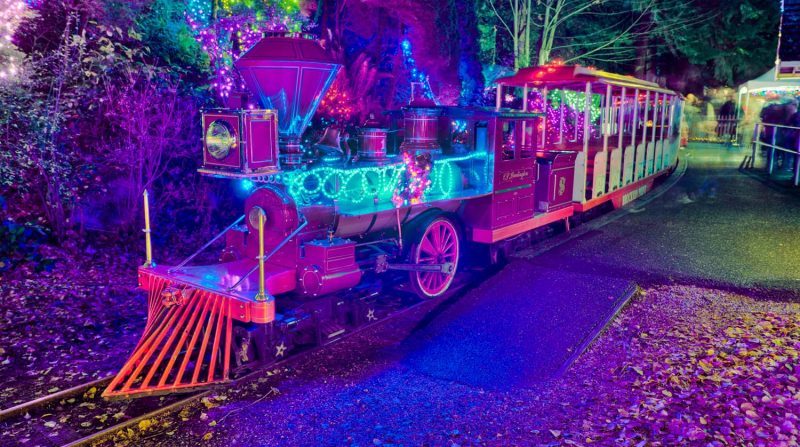Un train brillamment éclairé, décoré de lumières colorées, est posé sur une voie, entouré d'arbres. Le train a une apparence vintage avec un avant rouge et une gamme de couleurs vibrantes illuminant ses caractéristiques, créant une atmosphère festive.